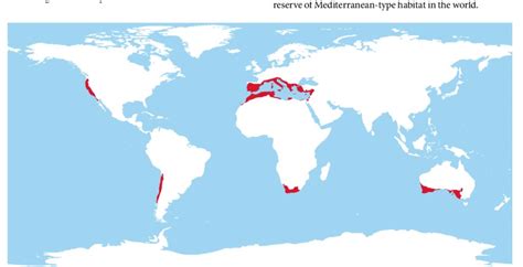 Top 175 Mediterranean Biome Animals