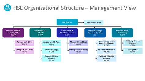Hse Organisational Chart
