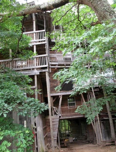 Largest Treehouse In The World 25 Pics
