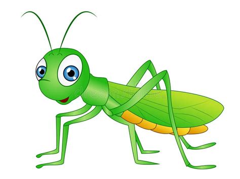 Cartoon Grasshopper Clip Art Stock Illustration Illustration Of