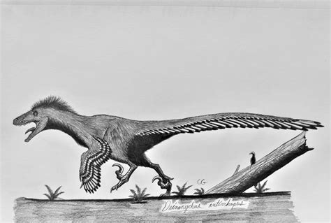 Deinonychus Antirrhopus By Acrosaurotaurus On Deviantart