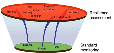 Pdf Resilience Assessment Of Coral Reefs Rapid Assessment Protocol For Coral Reefs Focusing