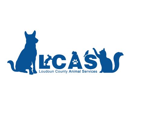 Pets For Adoption At Loudoun County Animal Shelter In Waterford Va