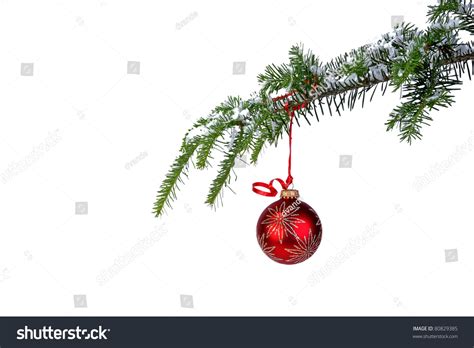Isolated Red Christmas Ornament Hanging From A Pine Branch Stock Photo