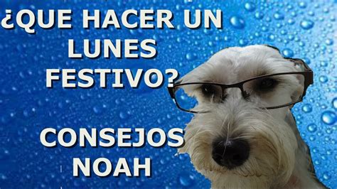 ¿que Hacer Un Lunes Festivo Consejos Noah Youtube