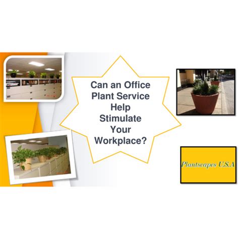 Can An Office Plant Service Help Stimulate Your Workplace