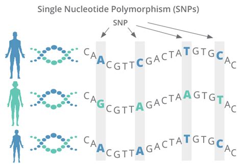 Experience The Difference Of Ai Powered Dna Testing With Genomicinsight