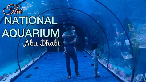 The National Aquarium Abu Dhabi The Largest Aquarium In The Middle