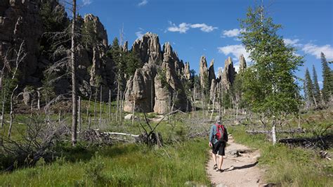 How South Dakotas Custer State Park Is Convincing Tech Savvy Folks To
