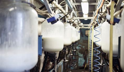 inlac lanza una campaña para reivindicar el trabajo de los productores lácteos ganadería