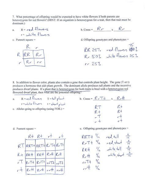 High school, college/university, master's or phd, and we will assign you a writer who can satisfactorily meet your professor's expectations. 11 3 Exploring Mendelian Genetics Worksheet | Printable ...