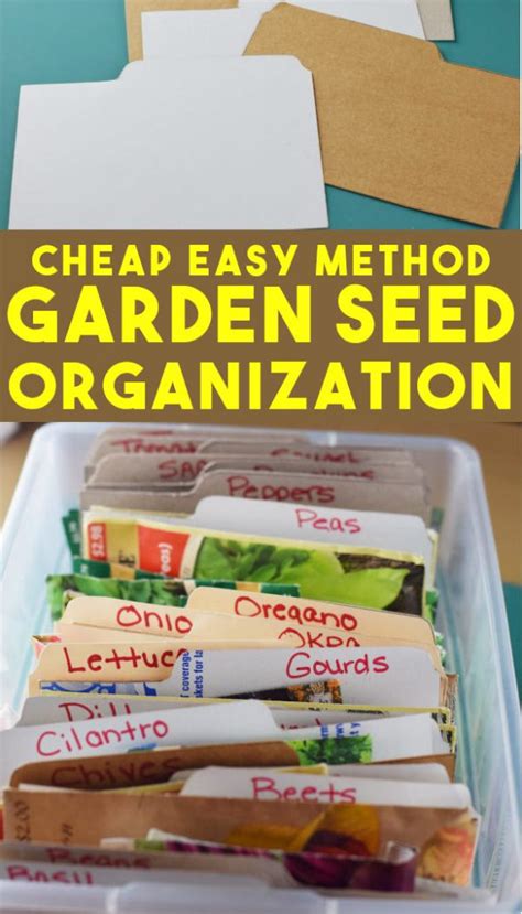 Simple Way To Organize And Store Seeds · Hidden Springs Homestead
