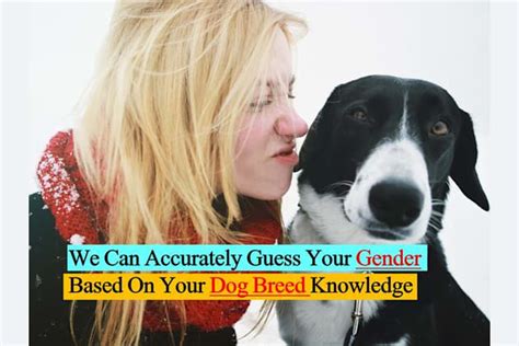We Can Accurately Guess Your Gender Based On Your Dog Breed Knowledge