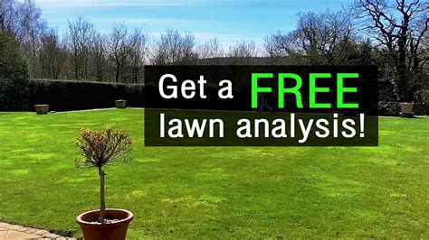 Maybe you would like to learn more about one of these? Lawn care near me - YouTube