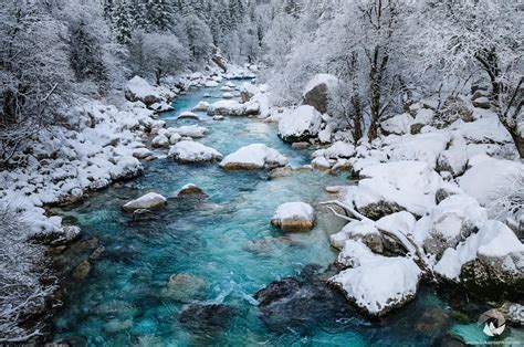 Wallpaper Forest Nature Snow Winter Ice River Wilderness