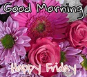 47+ Good Morning Happy Friday Images, Quotes, Whatsapp - Best Status Pics