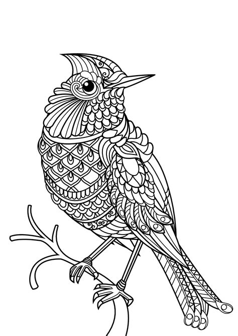 Adult Coloring Birds Coloring Pages