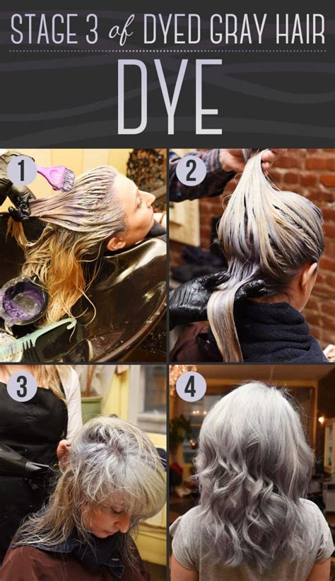 Here Is Every Little Detail On How To Dye Your Hair Gray Artofit