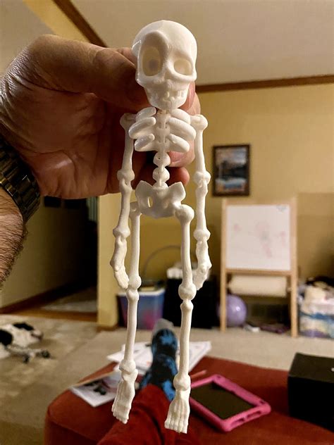 Flexifactory Cute Flexible Skeleton As Seen On Tiktok Stress Balls And Desk Toys Toys Pe