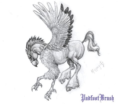 Hippogriff By Padfootbrush On Deviantart