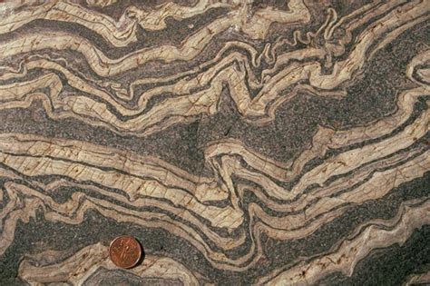 Disharmonic Folds In Gneiss Geology Pics