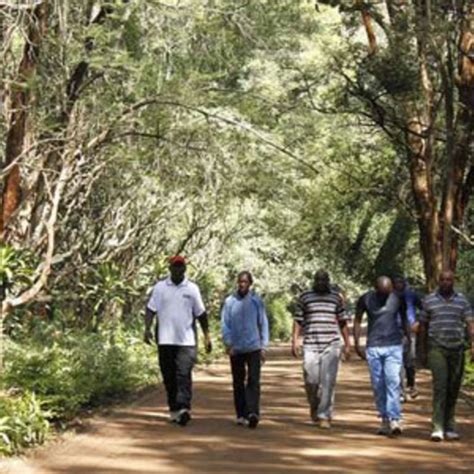 Nairobi Arboretum Now Introduces Entry Fees Business Daily