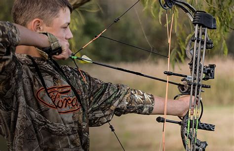 Best Compound Bow For Deer Hunting Expert Reviews