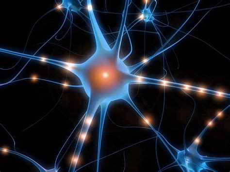 Understanding Neural Pathways And Behaviour Change The Soulful Psych