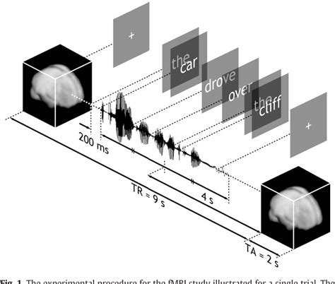 Figure 1 From Human Auditory Cortex Is Sensitive To The Perceived