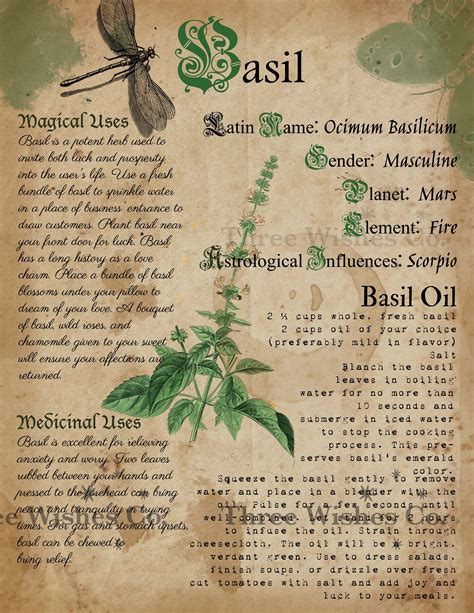 Printable Herb Profiles Book Of Shadows Pages Herb Etsy Herbal