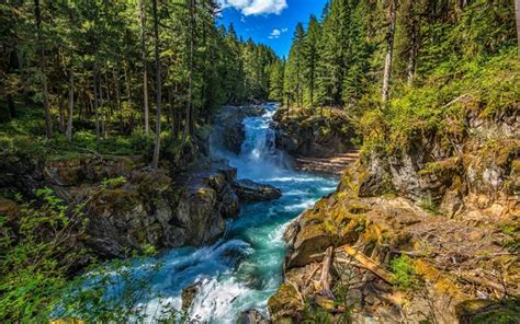 Download Wallpapers Mountain River Forest Waterfall Usa Washington