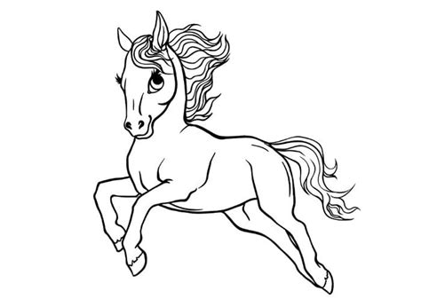 10 Contoh Sketsa Kuda Keren Dan Mudah Broonet