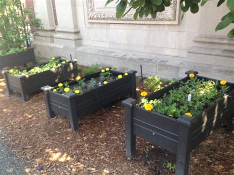 This is a picture of the rare spider jockey in minecraft! Outside in the City | Brooklyn Public Library