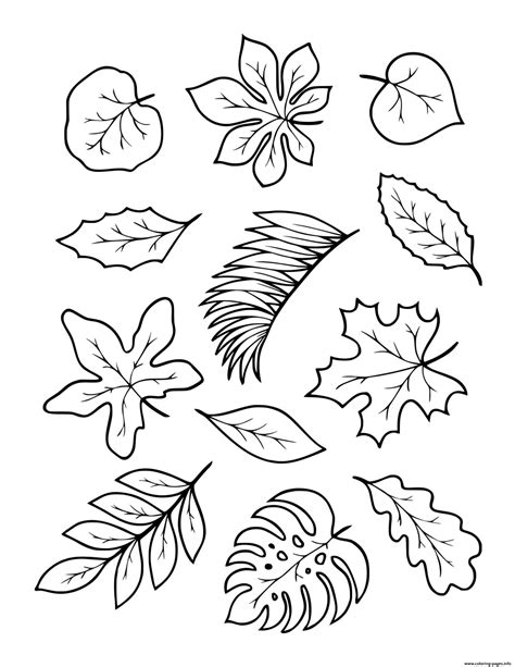 Fall Autumn Leaves To Color Coloring Page Printable