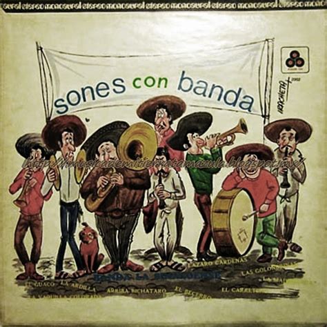 Musica De Mi Tierra Tamazula Banda La Sinaloense Sones Con Banda Lp