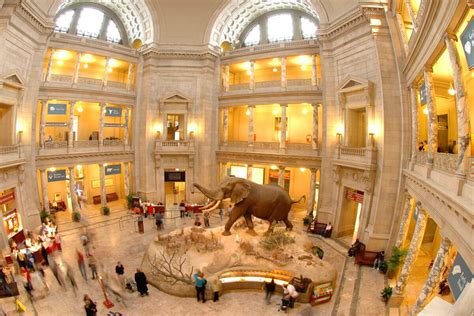 Smithsonian Museum Of Natural History Information Guide