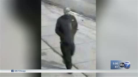 Police Woman Robbed Sexually Assaulted At Longwood Manor Bus Stop Abc7 Chicago