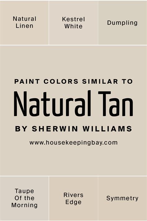 Natural Tan Paint Color SW 7567 By Sherwin Williams Housekeepingbay