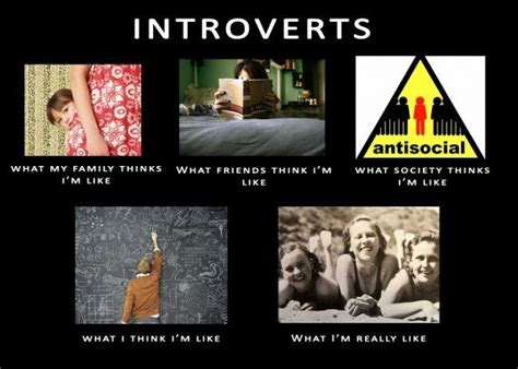 Pin By Penny Dittbrenner Amann On My Wayward Introversion Introvert Introvert Meme Introversion