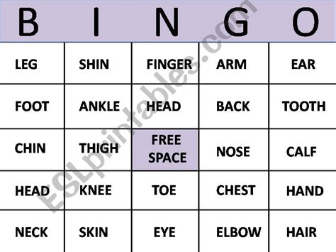 esl english powerpoints bingo body parts