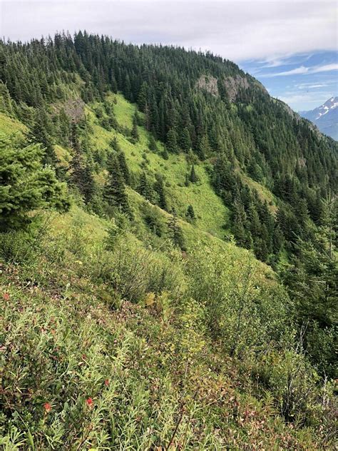 Elk Mountain Trail To Thurston Mountain British Columbia Canada