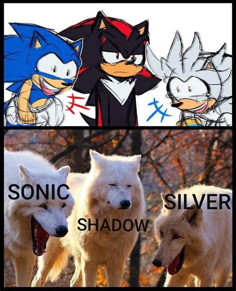 Sonic The Hedgehog And Silver The Wolf Are Two Different Types Of