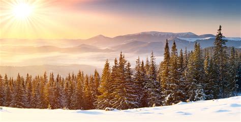 2938038 Sun Rays Snow Snowy Peak Mountain Forest Winter Mist Wallpaper