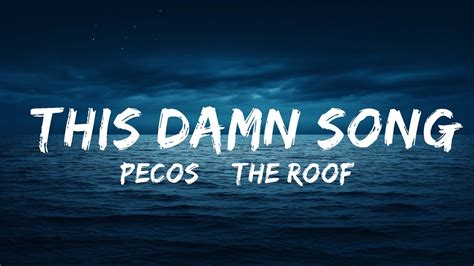 Pecos And The Rooftops This Damn Song Lyrics Lyrics Zee Music Youtube