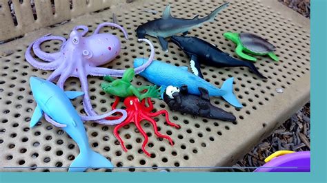 Playing Hide N Seek With Toy Sea Animals On The Playground Slides Shark