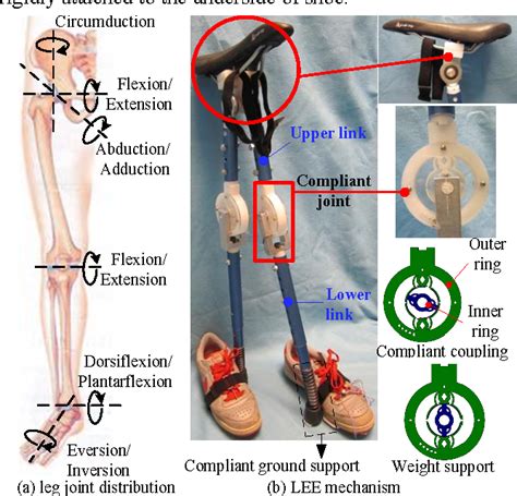 This is the berkeley lower extremity exoskeleton (bleex). Design analysis of a passive weight-support lower ...