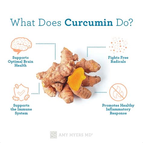 The Benefits Of Bioavailable Curcumin Amy Myers Md