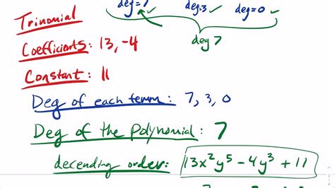 141 Introduction To Polynomials Coefficient Constant Degree Of