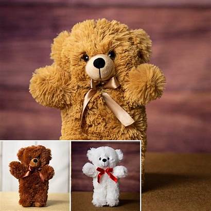 Wholesale Bear Teddy Bears Plush Asst Rush