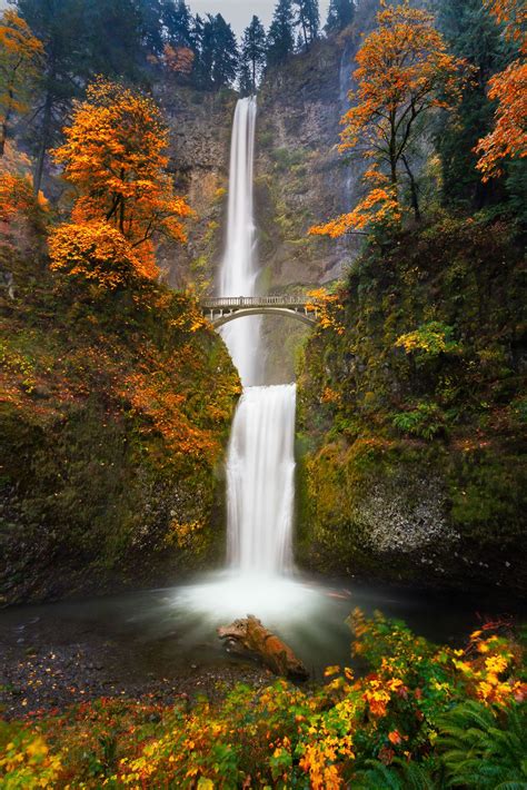 Multnomah Falls In Autumn Colors Autumn Scenery Waterfall Scenery